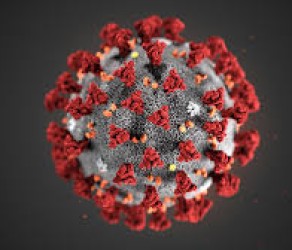 Emergenza coronavirus negli studi notarili
