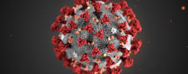 Emergenza coronavirus negli studi notarili