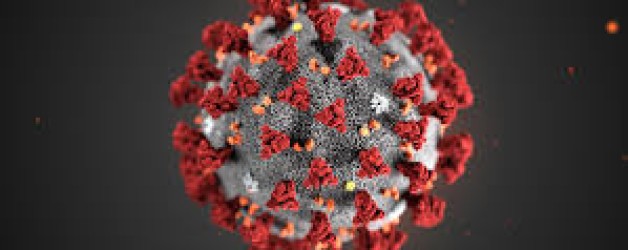 EMERGENZA CORONAVIRUS – INDICAZIONI OPERATIVE